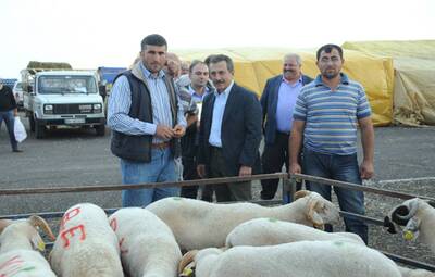 TEPEBAŞI BELEDİYESİ'NDEN ÜCRETSİZ KURBAN KESİMİ